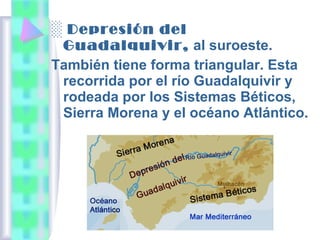 ░ Depresión del
Guadalquivir, al suroeste.
También tiene forma triangular. Esta
recorrida por el río Guadalquivir y
rodeada por los Sistemas Béticos,
Sierra Morena y el océano Atlántico.

 