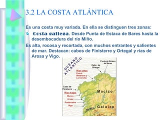 3.2 LA COSTA ATLÁNTICA
Es una costa muy variada. En ella se distinguen tres zonas:
Costa gallega. Desde Punta de Estaca de Bares hasta la
desembocadura del río Miño.
Es alta, rocosa y recortada, con muchos entrantes y salientes
de mar. Destacan: cabos de Finisterre y Ortegal y rías de
Arosa y Vigo.

 