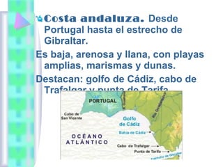 Costa andaluza. Desde
Portugal hasta el estrecho de
Gibraltar.
Es baja, arenosa y llana, con playas
amplias, marismas y dunas.
Destacan: golfo de Cádiz, cabo de
Trafalgar y punta de Tarifa.

 