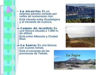 ▬

La Alcarria: Es un
extenso páramo cortado por
valles de numerosos ríos.
Está situada entre Guadalajara
y al noroeste de Cuenca.

▬ Campo de Montiel: Es
una llanura situada a 1.000 m.
de altitud.
Está entre Albacete y Ciudad
Real.
▬ La Sagra: Es una llanura
con suaves lomas.
Está al noroeste de las
provincias de Toledo.

 