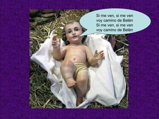 Si me ven, si me ven  voy camino de Belén  Si me ven, si me ven  voy camino de Belén  