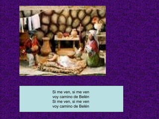 Si me ven, si me ven  voy camino de Belén  Si me ven, si me ven  voy camino de Belén  