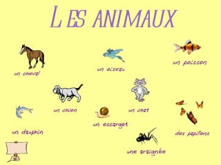 Les animaux un escargot des papillons un cheval  un chien un chat un poisson un oiseau un dauphin une araignée 