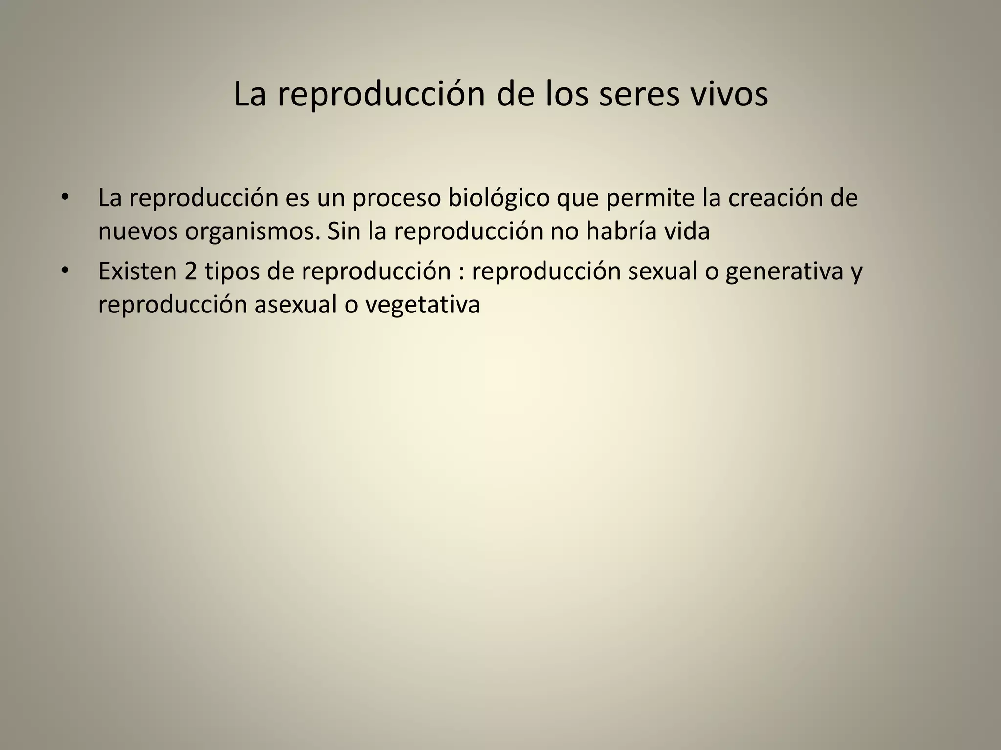 Lorena bejarano suarez [autoguardado]