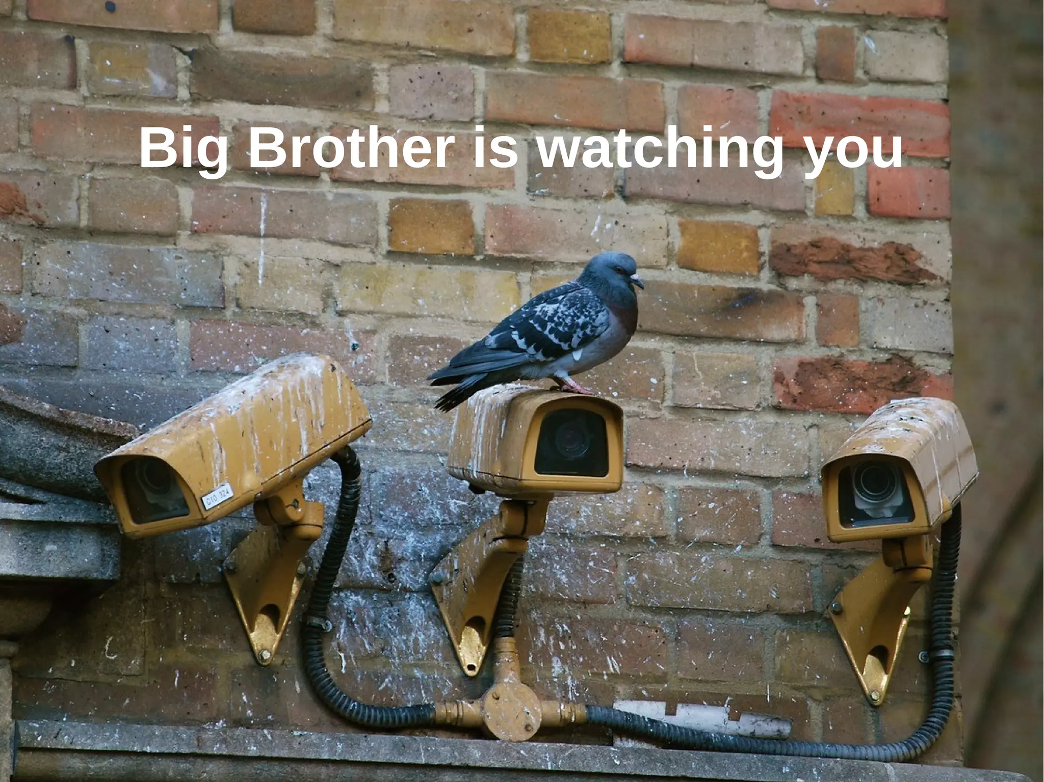 Big Brother is watching you