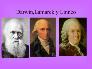 Darwin,Lamarck y Linneo 