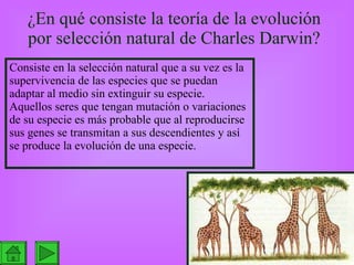 ¿En qué consiste la teoría de la evolución por selección natural de Charles Darwin? Consiste en la selección natural que a su vez es la supervivencia de las especies que se puedan adaptar al medio sin extinguir su especie. Aquellos seres que tengan mutación o variaciones de su especie es más probable que al reproducirse sus genes se transmitan a sus descendientes y así se produce la evolución de una especie. 