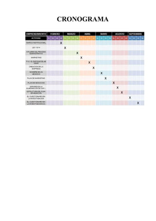 CRONOGRAMA
 
