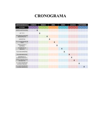 CRONOGRAMA
 