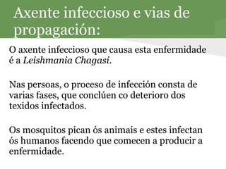 Axente infeccioso e vias de
 propagación:
O axente infeccioso que causa esta enfermidade
é a Leishmania Chagasi.

Nas persoas, o proceso de infección consta de
varias fases, que conclúen co deterioro dos
texidos infectados.

Os mosquitos pican ós animais e estes infectan
ós humanos facendo que comecen a producir a
enfermidade.
 