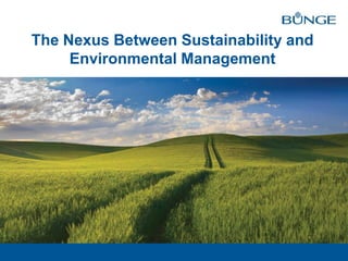 The Nexus Between Sustainability and
Environmental Management
 