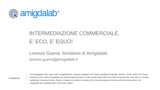 INTERMEDIAZIONE COMMERCIALE.
              E’ ECO, E’ EQUO!

              Lorenzo Guerra, fondatore di Amigdalab.
              lorenzo.guerra@amigdalab.it


              The amygdalae (Latin, also corpus amygdaloideum, singular amygdala, from Greek αμυγδαλή, amygdalē, 'almond', 'tonsil', listed in the Gray's

AmigdalaLab   Anatomy as the nucleus amygdalæ) are almond-shaped groups of nuclei located deep within the medial temporal lobes of the brain in complex
              vertebrates, including humans. Shown in research to perform a primary role in the processing and memory of emotional reactions, the
              amygdalae are considered part of the limbic system.
 