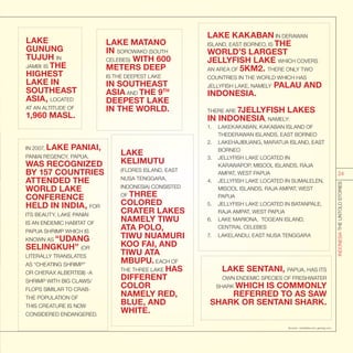 LAKE
GUNUNG
TUJUH IN
JAMBI IS THE
HIGHEST
LAKE IN
SOUTHEAST
ASIA, LOCATED
AT AN ALTITUDE OF
1,960 MASL.
LAKE MATANO
IN SOROWAKO (SOUTH
CELEBES) WITH 600
METERS DEEP
IS THE DEEPEST LAKE
IN SOUTHEAST
ASIA AND THE 9TH
DEEPEST LAKE
IN THE WORLD.
LAKE
KELIMUTU
(FLORES ISLAND, EAST
NUSA TENGGARA,
INDONESIA) CONSISTED
OF THREE
COLORED
CRATER LAKES
NAMELY TIWU
ATA POLO,
TIWU NUAMURI
KOO FAI, AND
TIWU ATA
MBUPU. EACH OF
THE THREE LAKE HAS
DIFFERENT
COLOR
NAMELY RED,
BLUE, AND
WHITE.
LAKE KAKABAN IN DERAWAN
ISLAND, EAST BORNEO, IS THE
WORLD’S LARGEST
JELLYFISH LAKE WHICH COVERS
AN AREA OF 5KM2. THERE ONLY TWO
COUNTRIES IN THE WORLD WHICH HAS
JELLYFISH LAKE, NAMELY PALAU AND
INDONESIA.
THERE ARE 7JELLYFISH LAKES
IN INDONESIA, NAMELY:
1.	 LAKEKAKABAN, KAKABAN ISLAND OF
THEDERAWAN ISLANDS, EAST BORNEO
2.	 LAKEHAJIBUANG, MARATUA ISLAND, EAST
BORNEO
3.	 JELLYFISH LAKE LOCATED IN
KARAWAPOP, MISOOL ISLANDS, RAJA
AMPAT, WEST PAPUA
4.	 JELLYFISH LAKE LOCATED IN SUMALELEN,
MISOOL ISLANDS, RAJA AMPAT, WEST
PAPUA
5.	 JELLYFISH LAKE LOCATED IN BATANPALE,
RAJA AMPAT, WEST PAPUA
6.	 LAKE MARIONA, TOGEAN ISLAND,
CENTRAL CELEBES
7.	 LAKELANDU, EAST NUSA TENGGARA
IN 2007, LAKE PANIAI,
PANIAI REGENCY, PAPUA,
WAS RECOGNIZED
BY 157 COUNTRIES
ATTENDED THE
WORLD LAKE
CONFERENCE
HELD IN INDIA, FOR
ITS BEAUTY. LAKE PANIAI
IS AN ENDEMIC HABITAT OF
PAPUA SHRIMP WHICH IS
KNOWN AS “UDANG
SELINGKUH” (OR
LITERALLY TRANSLATES
AS “CHEATING SHRIMP”
OR CHERAX ALBERTISII) -A
SHRIMP WITH BIG CLAWS/
FLOPS SIMILAR TO CRAB-
THE POPULATION OF
THIS CREATURE IS NOW
CONSIDERED ENDANGERED.
LAKE SENTANI, PAPUA, HAS ITS
OWN ENDEMIC SPECIES OF FRESHWATER
SHARK WHICH IS COMMONLY
REFERRED TO AS SAW
SHARK OR SENTANI SHARK.
Sources : worldatlas.com; geology.com;
INDONESIATHEUNTOLDSTORIES
24
 