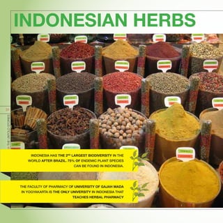 INDONESIAN HERBS	
INDONESIATHEUNTOLDSTORIES
31
INDONESIA HAS THE 2ND
LARGEST BIODIVERSITY IN THE
WORLD AFTER BRAZIL. 75% OF ENDEMIC PLANT SPECIES
CAN BE FOUND IN INDONESIA.
THE FACULTY OF PHARMACY OF UNIVERSITY OF GAJAH MADA
IN YOGYAKARTA IS THE ONLY UNIVERSITY IN INDONESIA THAT
TEACHES HERBAL PHARMACY
 