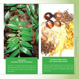 PASAK BUMI,
INDONESIAN FOREST APHRODISIAC
Pasak Bumi or loosely translated as earth pillar is an
earth Aphrodisiac growing over 30 feet underground.
The herbal is best consumed with tea, ginger and a
twist of lemon.
MADURESE HERBAL BLEND,
NEXT ROUND COMES AROUND
Madura, an island off Surabaya coast is well known for its
herbal aphrodisiac. A blend of ginger, tumeric, eggs, honey
and fish oil is a natural way of maintaining healthy vitality
and love scent.
Sources : Research and Development Ministry of Agriculture; National Agency of Drug and Food Control; Ministry of Health.
INDONESIATHEUNTOLDSTORIES
34
 