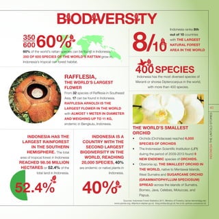 60% of the world’s rattan species can be found in Indonesia.
350 OF 600 SPECIES OF THE WORLD’S RATTAN grow in
Indonesia’s tropical rain forest habitat.
BIODIVERSITY
INDONESIA HAS THE
LARGEST RAINFOREST
IN THE SOUTHERN
HEMISPHERE. The total
area of tropical forest in Indonesia
REACHED 98.56 MILLION
HECTARES or 52.4% of the
total land in Indonesia.
Indonesia ranks 8th
out of 10 countries
with THE LARGEST
NATURAL FOREST
AREA IN THE WORLD
INDONESIA IS A
COUNTRY WITH THE
SECOND LARGEST
BIODIVERSITY IN THE
WORLD, REACHING
20,000 SPECIES, 40%
are endemic or native plants in
Indonesia.
THE WORLD’S SMALLEST
ORCHID
•	 Orchids (Orchidaceae) reached 6,000
SPECIES OF ORCHIDS
•	 The Indonesian Scientific Institution (LIPI)
duirng the period of 2009-2013 found 9
NEW ENDEMIC species of ORCHIDS.
•	 Oberonia sp, THE SMALLEST ORCHID IN
THE WORLD, native to Mentawai Islands,
West Sumatra and SUGARCANE ORCHID
(GRAMMATOPHYLLUM SPECIOSUM)
SPREAD across the islands of Sumatra,
Borneo, Java, Celebes, Moluccas, and
Papua.
RAFFLESIA,
THE WORLD’S LARGEST
FLOWER
From 32 species of Rafflesia in Southeast
Asia, 17 can be found in Indonesia.
RAFFLESIA ARNOLDI IS THE
LARGEST FLOWER IN THE WORLD
with ALMOST 1 METER IN DIAMETER
AND WEIGHING UP TO 11 KG,
endemic in Bengkulu, Indonesia.
Indonesia has the most diversed species of
Meranti or shorea Dipterocarpus in the world,
with more than 400 species.
350
60%
40% Sources: Indonesia Forest Statistics 2011, Ministry of Forestry; lartas-kemendag.net;
www.panda.org; ditjenbun.deptan.go.id; blog.sivitas.lipi.go.id; fwi.or.id; uplmps.unsoed.ac.id;
SPECIES
INDONESIATHEUNTOLDSTORIES
40
 