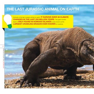 THE LAST JURASSIC ANIMAL ON EARTH
Sumber :
menlh.go.id
nationalgeographic.com
world.new7wonders.com
INDONESIATHEUNTOLDSTORIES
41
Komodo is the last Jurassic animal on earth. IT SURVIVE OVER 36 CLIMATE
CHANGES IN THE LAST 200 MILLION YEARS. This giant monitor
lizard is ONLY FOUND IN KOMODO ISLANDS is also known as the
LARGEST CRAWLING DRAGON EVER KNOWN to mankind.
 