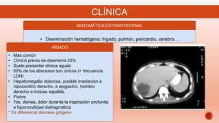 CLÍNICA
SINTOMÁTICA EXTRAINTESTINAL
• Diseminación hematógena: hígado, pulmón, pericardio, cerebro…
HÍGADO
• Más común
• Clínica previa de disentería 20%
• Suele presentar clínica aguda
• 60% de los abscesos son únicos (> frecuencia
LDH)
• Hepatomegalia dolorosa, posible irradiación a
hipocondrio derecho, a epigastrio, hombro
derecho e incluso espalda.
• Fiebre
• Tos, disnea, dolor durante la inspiración profunda
e hipomovilidad diafragmática
* Dx diferencial absceso piógeno
 