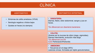 CLÍNICA
ASINTOMÁTICO SINTOMÁTICO INTESTINAL
• Síntomas de colitis amebiana (10%9)
• Serología negativa o títulos bajos
• Quistes en heces (no siempre)
• DISENTERÍA:
Diarrea, fiebre, dolor abdominal, sangre y pus en
heces.
*Dx diferencial con disentería bacteriana
• COLITIS:
Úlceras por la mucosa de cólon (ciego, sigmoides).
Diarrea intermitente, evolución más larga.
*Dx diferencial con EII
OJO! Perforación/Peritonitis
• AMEBOMA:
> frecuencia en el ciego (40%)
Lesiones únicas, formadas por tejido granulomatoso.
 
