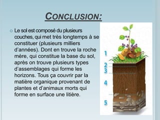 CONCLUSION:
 Le sol est composé du plusieurs
couches, qui met très longtemps à se
constituer (plusieurs milliers
d’années). Dont en trouve la roche
mère, qui constitue la base du sol,
après on trouve plusieurs types
d’assemblages qui forme les
horizons. Tous ça couvrir par la
matière organique provenant de
plantes et d’animaux morts qui
forme en surface une litière.
 