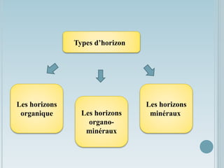 Les horizons
organique Les horizons
organo-
minéraux
Les horizons
minéraux
Types d’horizon
 