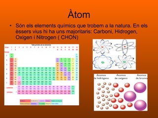 Àtom Són els elements químics que trobem a la natura. En els èssers vius hi ha uns majoritaris: Carboni, Hidrogen, Oxigen i Nitrogen ( CHON) 