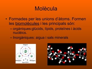 Molècula Formades per les unions d’àtoms. Formen les  biomolècules  i les principals són: orgàniques:glúcids, lípids, proteïnes i àcids nucléics. Inorgàniques: aigua i sals minerals 