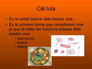 Cèl.lula És la unitat bàsica dels èssers vius.  És la primera forma que considerem viva ja que fa totes les funcions pròpies dels èssers vius:  Reproducció Nutrició  Relació 