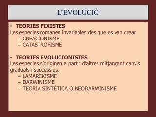 L’EVOLUCIÓ
• TEORIES FIXISTES
Les especies romanen invariables des que es van crear.
   – CREACIONISME
   – CATASTROFISME

• TEORIES EVOLUCIONISTES
Les especies s’originen a partir d’altres mitjançant canvis
graduals i successius.
   – LAMARCKISME
   – DARWINISME
   – TEORIA SINTÈTICA O NEODARWINISME
 