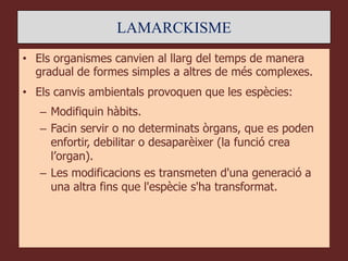 LAMARCKISME
• Els organismes canvien al llarg del temps de manera
  gradual de formes simples a altres de més complexes.
• Els canvis ambientals provoquen que les espècies:
   – Modifiquin hàbits.
   – Facin servir o no determinats òrgans, que es poden
     enfortir, debilitar o desaparèixer (la funció crea
     l’organ).
   – Les modificacions es transmeten d'una generació a
     una altra fins que l'espècie s'ha transformat.
 