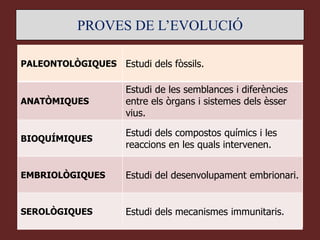 PROVES DE L’EVOLUCIÓ

PALEONTOLÒGIQUES   Estudi dels fòssils.

                   Estudi de les semblances i diferències
ANATÒMIQUES        entre els òrgans i sistemes dels èsser
                   vius.

                   Estudi dels compostos químics i les
BIOQUÍMIQUES
                   reaccions en les quals intervenen.


EMBRIOLÒGIQUES     Estudi del desenvolupament embrionari.


SEROLÒGIQUES       Estudi dels mecanismes immunitaris.
 