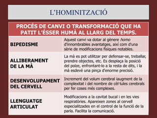 L’HOMINITZACIÓ
  PROCÉS DE CANVI O TRANSFORMACIÓ QUE HA
   PATIT L’ÉSSER HUMÀ AL LLARG DEL TEMPS.
                         Aquest canvi va dotar al gènere homo
BIPEDISME                d'innombrables avantatges, així com d'una
                         sèrie de modificacions físiques notables.
                         La mà es pot utilitzar per defensar-se, treballar,
ALLIBERAMENT             prendre objectes, etc. Es desplaça la posició
DE LA MÀ                 del polze, enfrontant-lo a la resta de dits, i la
                         mà esdevé una pinça d'enorme precisió.

DESENVOLUPAMENT Increment del volum cerebral iaugment de la
                complexitat i del nombre de cèl·lules cerebrals
DEL CERVELL     per fer coses més complexes.

                         Modificacions a la cavitat bucal i en les vies
LLENGUATGE               respiratòries. Apareixen zones al cervell
ARTICULAT                especialitzades en el control de la funció de la
                         parla. Facilita la comunicació.
 