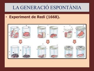 LA GENERACIÓ ESPONTÀNIA
• Experiment de Redi (1668).
 