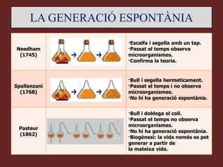 LA GENERACIÓ ESPONTÀNIA
                   ·Escalfa i segella amb un tap.
Needham            ·Passat el temps observa
 (1745)            microorganismes.
                   ·Confirma la teoria.


                   ·Bull i segella hermeticament.
Spallanzani        ·Passat el temps i no observa
  (1768)           microorganismes.
                   ·No hi ha generació espontània.


                   ·Bull i doblega el coll.
                   ·Passat el temps no observa
                   microorganismes.
 Pasteur
                   ·No hi ha generació espontània.
 (1862)
                   ·Biogènesi: la vida només es pot
                   generar a partir de
                   la mateixa vida.
 
