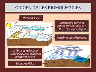ORIGEN DE LES BIOMOLÈCULES

          Radiació solar.
                               L’atmosfera primitiva
                            estava formada por: CH4
                            , NH3 , H2 i vapor d’agua.

                            Descàrregues elèctriques.



  La Terra es refreda, el
vapor d’aigua es condensa
    provocant plujes.

    Sopa prebiòtica.
 
