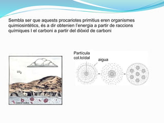 Sembla ser que aquests procariotes primitius eren organismes
quimiosintètics, és a dir obtenien l’energia a partir de raccions
químiques I el carboni a partir del diòxid de carboni
Partícula
col.loïdal aigua
 