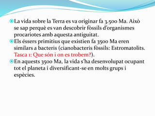 La vida sobre la Terra es va originar fa 3.500 Ma. Això
se sap perquè es van descobrir fòssils d’organismes
procariotes amb aquesta antiguitat.
Els éssers primitius que existien fa 3500 Ma eren
similars a bacteris (cianobacteris fòssils: Estromatolits.
Tasca 1: Que són i on es trobem?).
En aquests 3500 Ma, la vida s’ha desenvolupat ocupant
tot el planeta i diversificant-se en molts grups i
espècies.
 