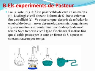 B.Els experiments de Pasteur
 Louis Pasteur (s. XIX) va posar caldo de carn en un matràs
(1). Li allargà el coll donant-li forma de S i ho va calentar
fins a ebullició (2). Va observar que, després de refredar-lo,
en el caldo de carn no es desenvolupaven microorganismes
i que es mantenia no contaminat inclús després de molt
temps. Si es trencava el coll (3) o s’inclinava el matràs fins
que el caldo passés per la zona en forma de S, aquest es
contaminava en poc temps.
 