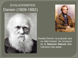EVOLUCIONISTES:
:
Darwin (1809-1882)

Charles Darwin va proposar que
un dels“motors” de l’evolució
és la Selecció Natural ...