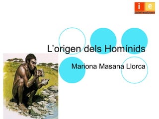 L’origen dels Homínids
     Mariona Masana Llorca
 