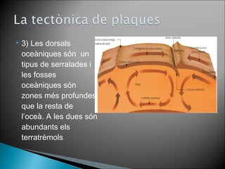  3) Les dorsals 
oceàniques són un 
tipus de serralades i 
les fosses 
oceàniques són 
zones més profundes 
que la resta de 
l’oceà. A les dues són 
abundants els 
terratrèmols 
 