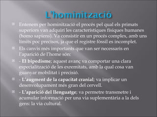    Entenem per hominització el procés pel qual els primats
    superiors van adquirí les característiques físiques humanes
    (homo sapiens). Va consistir en un procés complex, amb uns
    límits poc precisos, ja que el registre fòssil es incomplet.
   Els canvis més importants que van ser necessaris en
    l’aparició de l’home són:
   - El bipedisme; aquest avanç va comportar una clara
    especialització de les exremitats, amb la qual cosa van
    guanyar mobilitat i precisió.
   - L’augment de la capacitat cranial; va implicar un
    desenvolupament més gran del cervell.
   - L’aparició del llenguatge; va permetre transmetre i
    acumular informació per una via suplementària a la dels
    gens: la via cultural.
 
