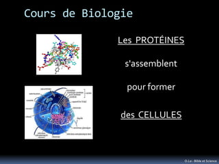 Cours de Biologie

              Les PROTÉINES

               s'assemblent

                pour former

               d...