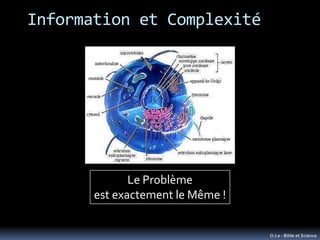 Information et Complexité




              Le Problème
       est exactement le Même !


                                ...