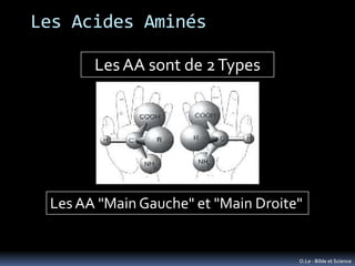 Les Acides Aminés

       Les AA sont de 2 Types




 Les AA "Main Gauche" et "Main Droite"


                            ...