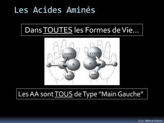Les Acides Aminés

  Dans TOUTES les Formes de Vie…




Les AA sont TOUS de Type "Main Gauche"


                         ...