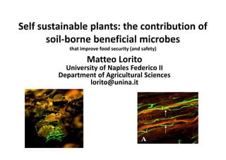 Self sustainable plants: the contribution of
soil-borne beneficial microbes
that improve food security (and safety)
Matteo Lorito
University of Naples Federico II
Department of Agricultural Sciences
lorito@unina.it
 
