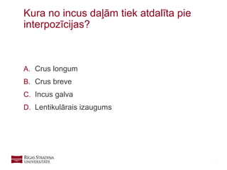 40
A. Crus longum
B. Crus breve
C. Incus galva
D. Lentikulārais izaugums
Kura no incus daļām tiek atdalīta pie
interpozīcijas?
 