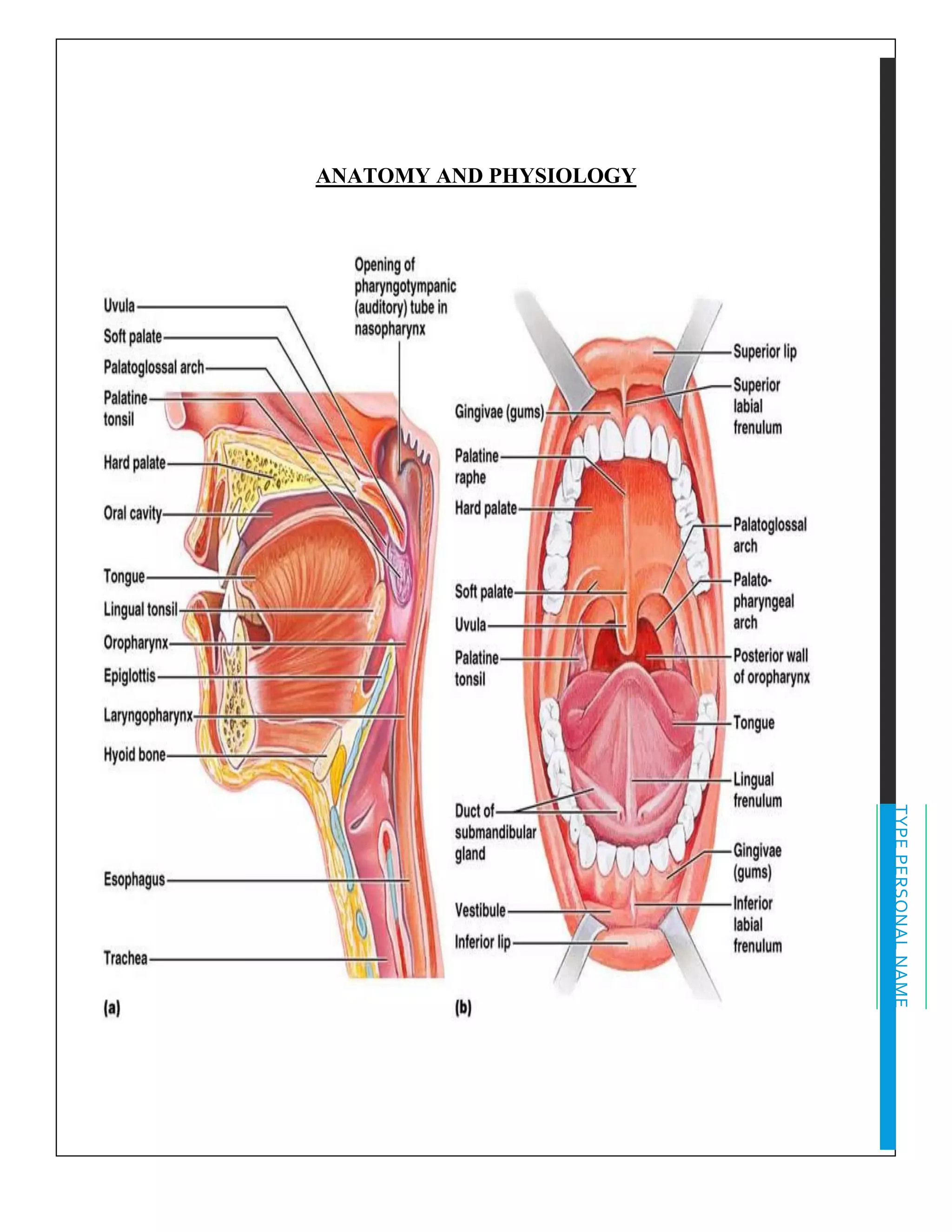 TYPEPERSONALNAME
ANATOMY AND PHYSIOLOGY
 