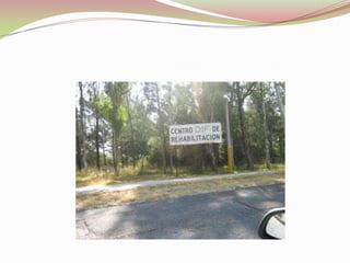 EVC LAURA LOPEZ MALDONADO